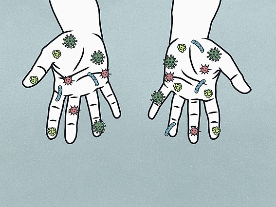 Раце бактерии