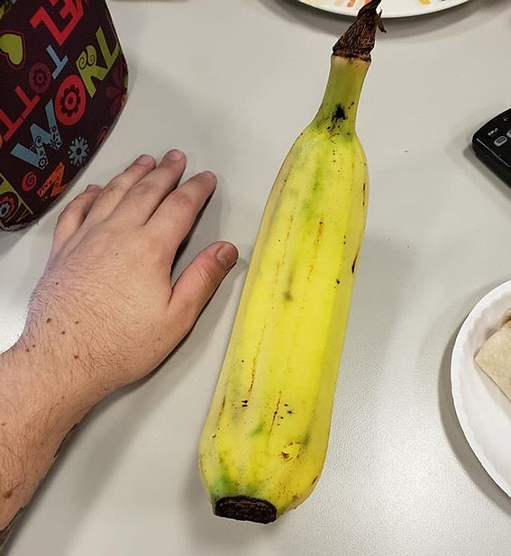 Џиновска банана